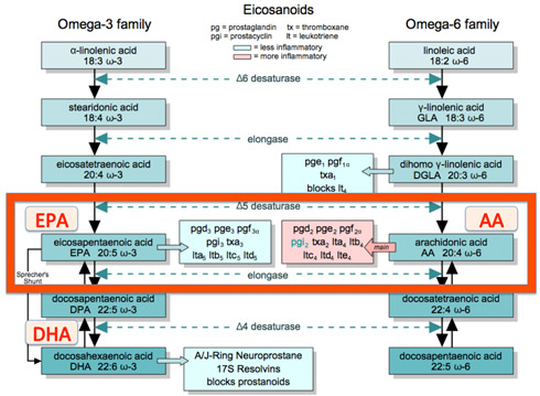high EPA fish oil and eicosanoid pathway