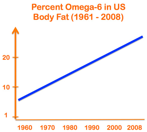 The level of pro-inflammatory, easily oxidized Omega-6 (Linoleic Acid) in subcutaneous body fat stores has increased 200% in the last half century. Adapted from: Whole Health Source blog by Dr. Stephan Guyenet.