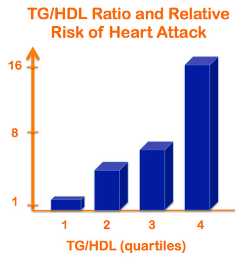 TG/HDL ratio